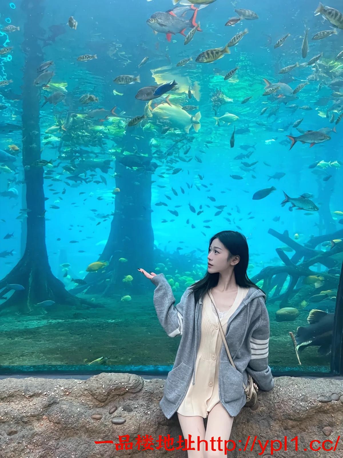 骚母狗榨汁多p