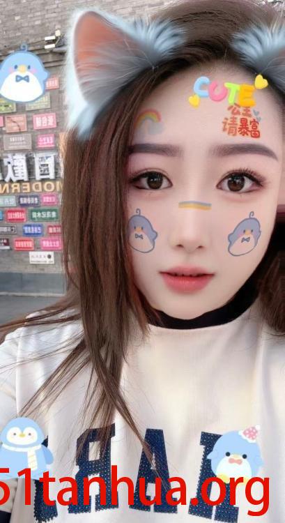 齐市菲菲