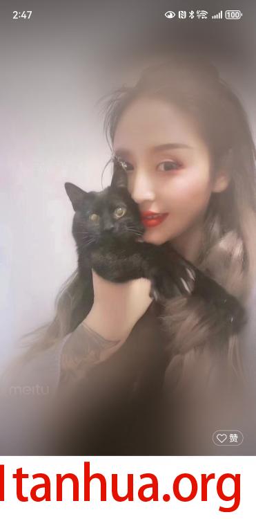 渝中长腿麦子